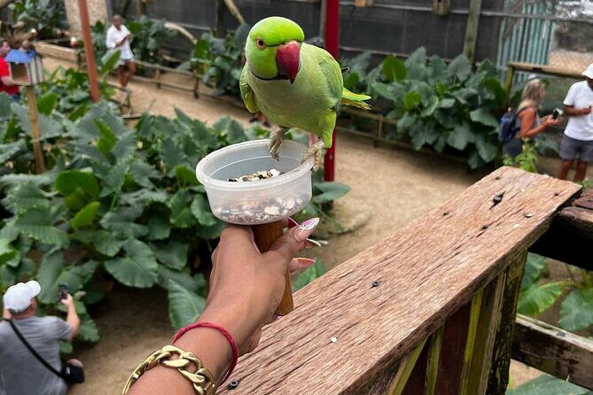 Celeb Island Adventure Tour - Practical Tips for Your Booking