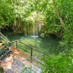 Cenote Swim, Cave Exploration and Plantation Tour in Punta Cana - Authentic Experiences and Insights from Reviews