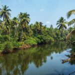 Chandor: Legends, Ruins and Rituals | Heritage Walk - What to Expect from the Heritage Walk in Chandor