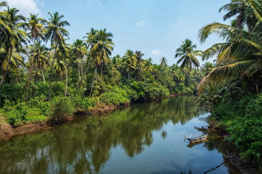 Chandor: Legends, Ruins and Rituals | Heritage Walk - What to Expect from the Heritage Walk in Chandor