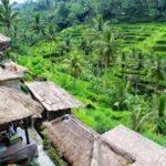 Charter Standard Vehicle with Driver at Bali- 5 Hours Usage - What Makes This Tour Stand Out?