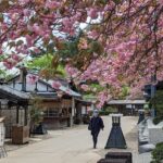 Chartered Private Tour - Tokyo to Nikko, Toshogu, Edo Wonderland - Frequently Asked Questions