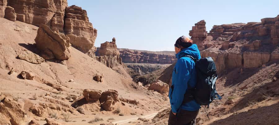 Charyn: Full-Day Canyon Adventures with Picnic and Hiking - What to Expect from the Tour