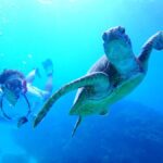 Chatan: FullDay Snorkeling in Kerama National Park - The Itinerary Breakdown