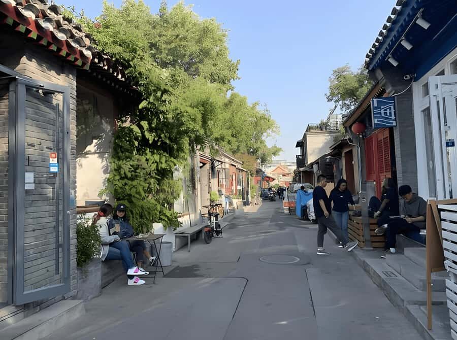 Chengdu: backside Home Cooking Experience with Local Family - Who Will Love This Experience?