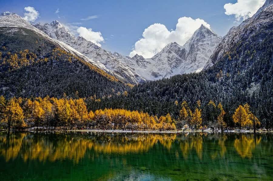 Chengdu: Bipenggou Scenic Area Day Trip with Guide - The Value of the Experience