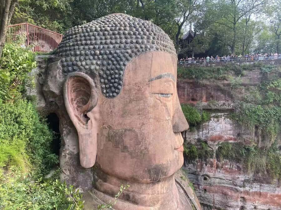 Chengdu: Chengdu Day Trip with Giant Panda and Leshan Buddha - Good To Know