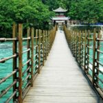 Chengdu: Dujiangyan Panda Base & Irrigation System Day Tour - What’s Included and Practical Tips