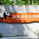 Chengdu: Giant Panda Base Tour with Panda Nutrition Class - Final Thoughts