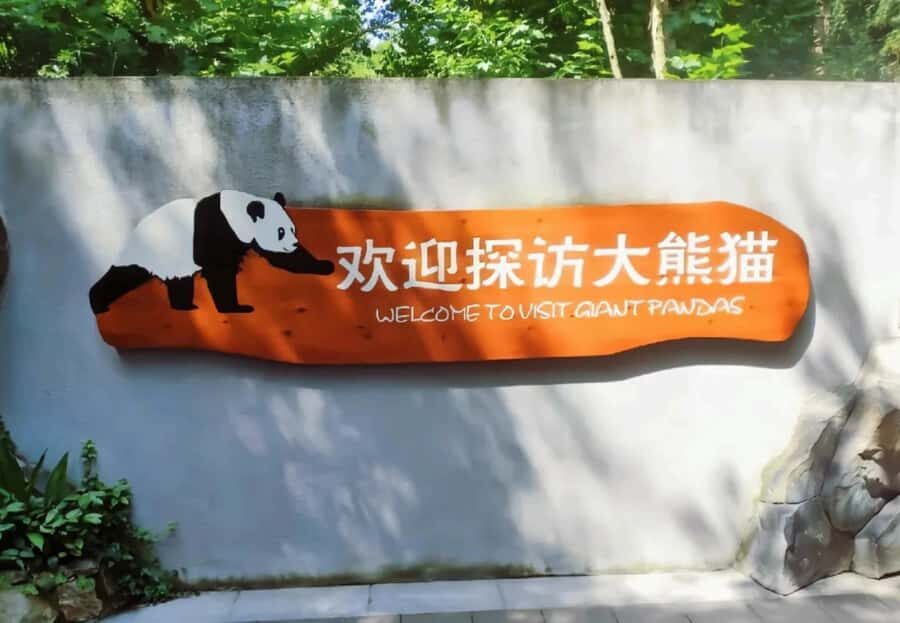 Chengdu: Giant Panda Base Tour with Panda Nutrition Class - Final Thoughts