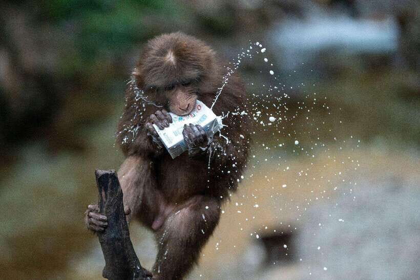 Chengdu: Jiuzhaigou, Dujiangyan, and Emeishan 9-Day Tour - Overall Experience: What Sets This Tour Apart?