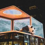 Chengdu: Local Alley, Museum, Handcraft & Night Market Tour - Why Choose This Tour?