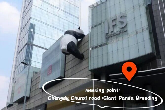 Chengdu Panda Base Ticket/Experiences from Chunxi Road - What to Expect at the Chengdu Panda Base