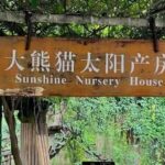 Chengdu: Panda Breeding Base Private Guided Tour - Exploring the Itinerary