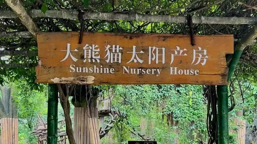 Chengdu: Panda Breeding Base Private Guided Tour - Exploring the Itinerary