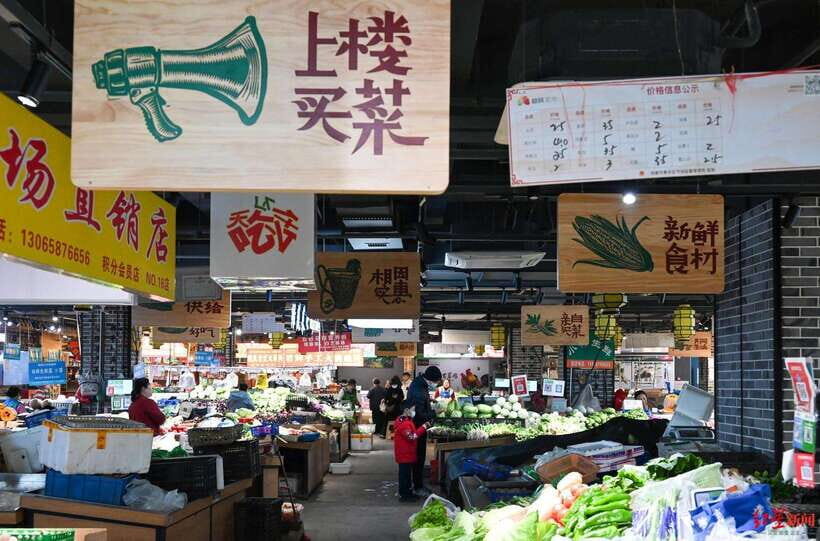 Chengdu: Private Panda Base and Sichuan Cuisine Tour - Discovering Chengdu’s Highlights with a Private Guide