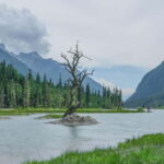 Chengdu: Siguniang Mountain Scenic Area Private Tour - Discovering Siguniang Mountain