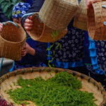 Chengdu: Tea-Picking in the Birthplace of Tea Culture - What the Tour Entails: A Step-by-Step Breakdown