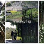 Chengdu: Zhongba Forest Private Hiking Tour with Guide - How the Tour Is Structured