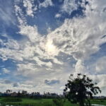 Chennai, Birding with Spotting Scope & Photography 2-3 hours - Transportation, Timing, and Practical Details