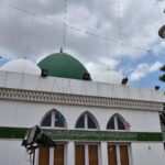 Chennai: Botanical Garden, Thousand Lights Mosque & Bazaar - A Closer Look at What You’ll Experience