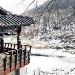 Cheorwon Winter Day Tour: DMZ Monorail, Hantan Canyon & Labor HQ - The Sum Up