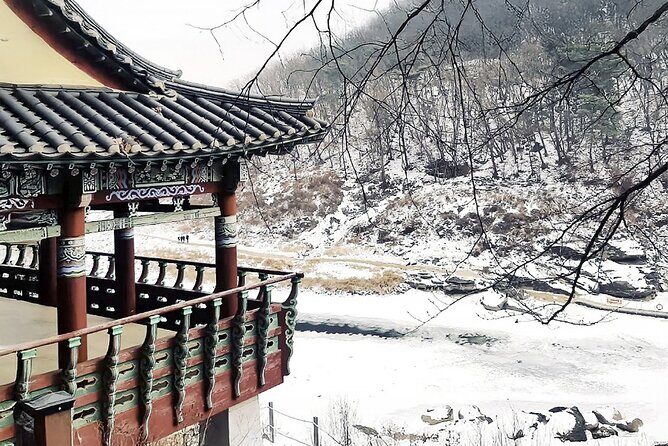 Cheorwon Winter Day Tour: DMZ Monorail, Hantan Canyon & Labor HQ - Final Thoughts: Who Will Love This Tour?