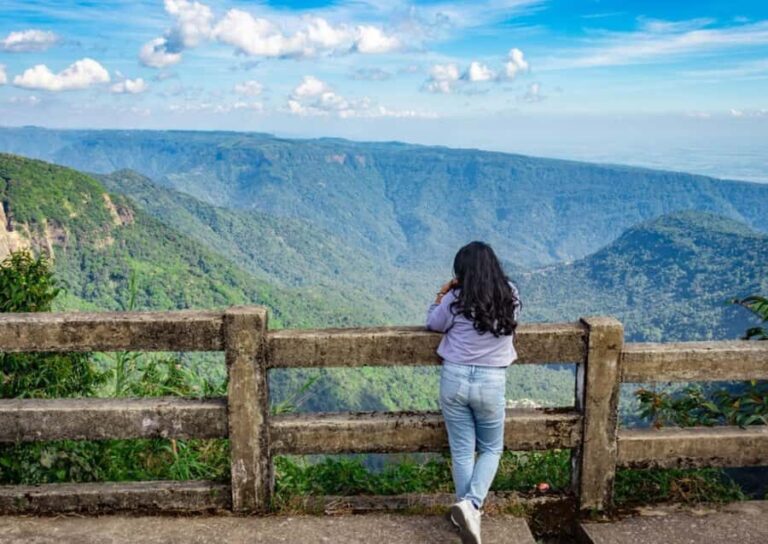 Cherrapunji: Guided Full-Day Trip from Shillong by Car - Analyzing the Value