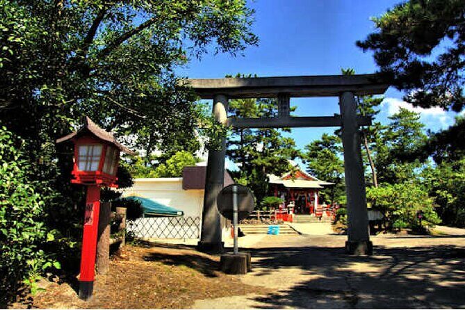 Cherry Blossoms in Kagoshima - The Transport and Logistics