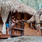Chiang Mai 2-Day: Good Morning Elephant & Overnight Homestay - What Sets This Tour Apart?