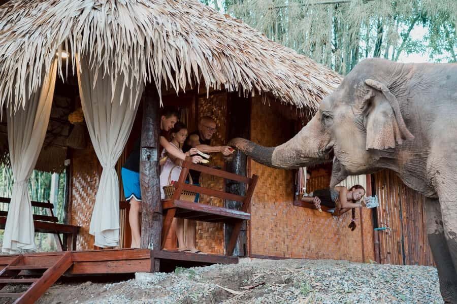 Chiang Mai 2-Day: Good Morning Elephant & Overnight Homestay - What Sets This Tour Apart?
