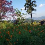 Chiang Mai: 3-Day Chiang Dao Mountains & Local Villages Tour - Introduction to the Tour Experience