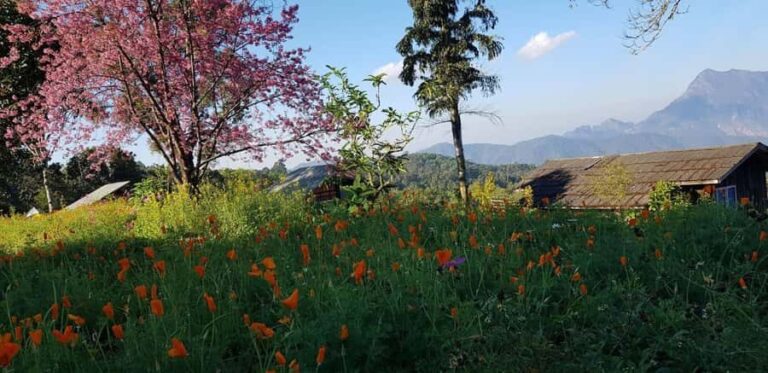 Chiang Mai: 3-Day Chiang Dao Mountains & Local Villages Tour - Introduction to the Tour Experience