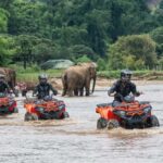 Chiang Mai: 3-Hour ATV Quad Biking Jungle Adventure - What Makes the Ride Special?