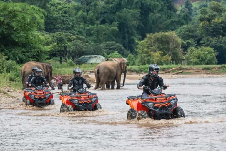 Chiang Mai: 3-Hour ATV Quad Biking Jungle Adventure - What Makes the Ride Special?