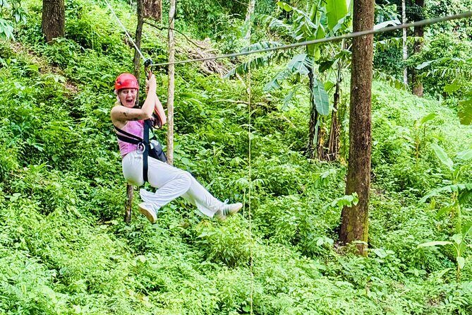Chiang Mai 3 in 1 Zipline, Elephants and Sticky Waterfall - Ziplining Among the Trees