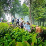 Chiang Mai ATV Tour, Doi Inthanon Trekking, and Elephant Watching - Who Is This Tour Best For?