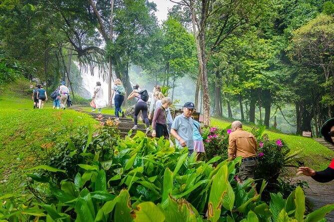 Chiang Mai ATV Tour, Doi Inthanon Trekking, and Elephant Watching - Who Is This Tour Best For?