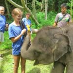 Chiang Mai : ATV Tour + Elephant Care - An In-Depth Look at the Experience