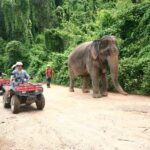 Chiang Mai : ATV Tour + Trekking - An In-Depth Look at the Tour