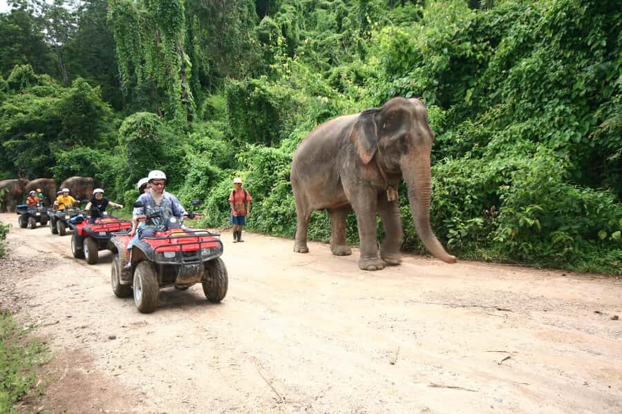 Chiang Mai : ATV Tour + Trekking - An In-Depth Look at the Tour
