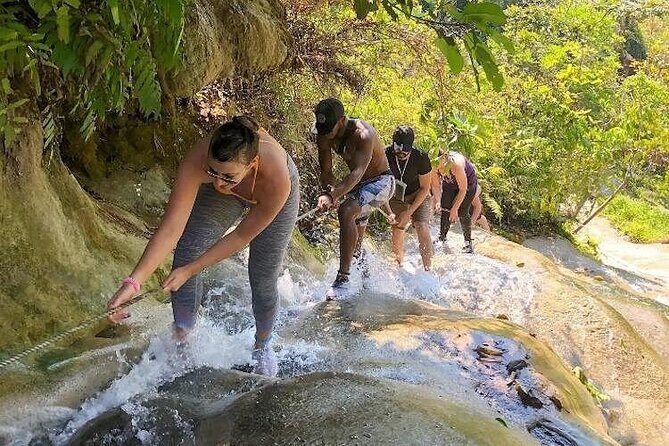 Chiang Mai Chapulin Elephant Care and Sticky Waterfall - How the Tour Is Structured