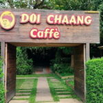 Chiang Mai Chiang Rai Temples Tour with Premium Transfer - An In-Depth Look at the Tour Itinerary