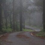 Chiang Mai: Doi Inthanon Hike, Coffee, and Tree Planting - Value and Practical Considerations