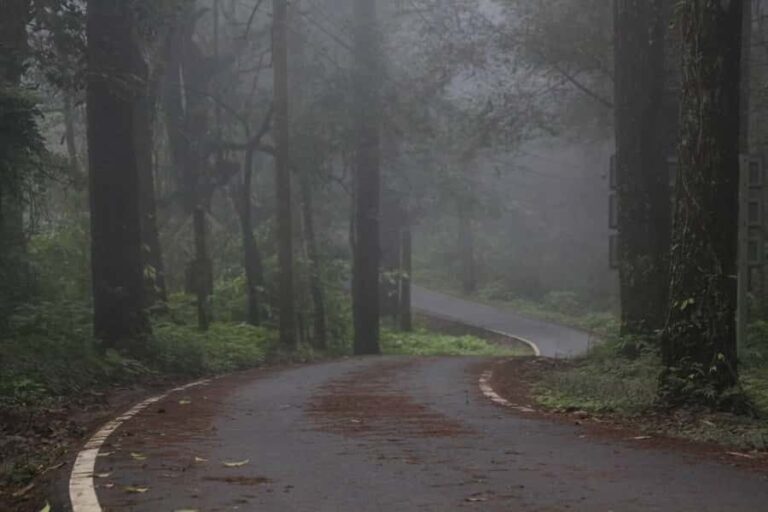 Chiang Mai: Doi Inthanon Hike, Coffee, and Tree Planting - Value and Practical Considerations