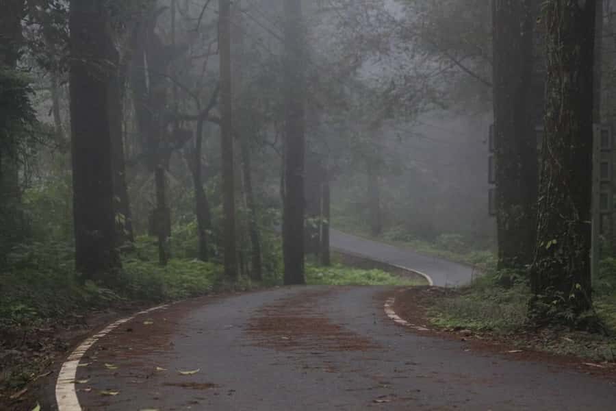 Chiang Mai: Doi Inthanon Hike, Coffee, and Tree Planting - Value and Practical Considerations