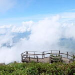 Chiang Mai: Doi Inthanon National Park and Kew Mae Pan Tour - The Practical Side: What’s Included and What to Know