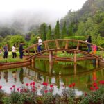 Chiang Mai: Doi Inthanon National Park Day Group Trip - What You Need to Know Before Booking