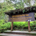 Chiang Mai: Doi Inthanon National Park+Trek Pha Dok Siew - What Reviewers Say and Why It Matters