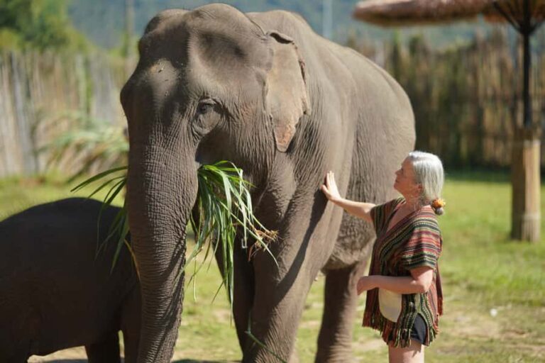 Chiang Mai: Elephant Care Mae Win&15 Ziplines-Tribe-Coffee - Transportation & Duration